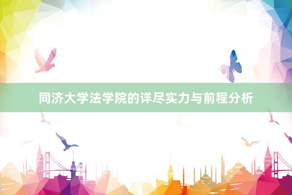同济大学法学院的详尽实力与前程分析