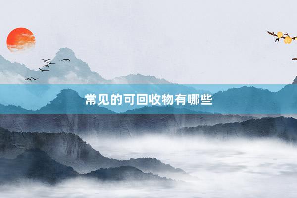 常见的可回收物有哪些